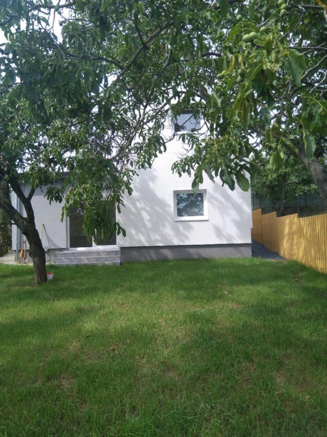 Apartamento Dum V Brne Brno Exterior foto